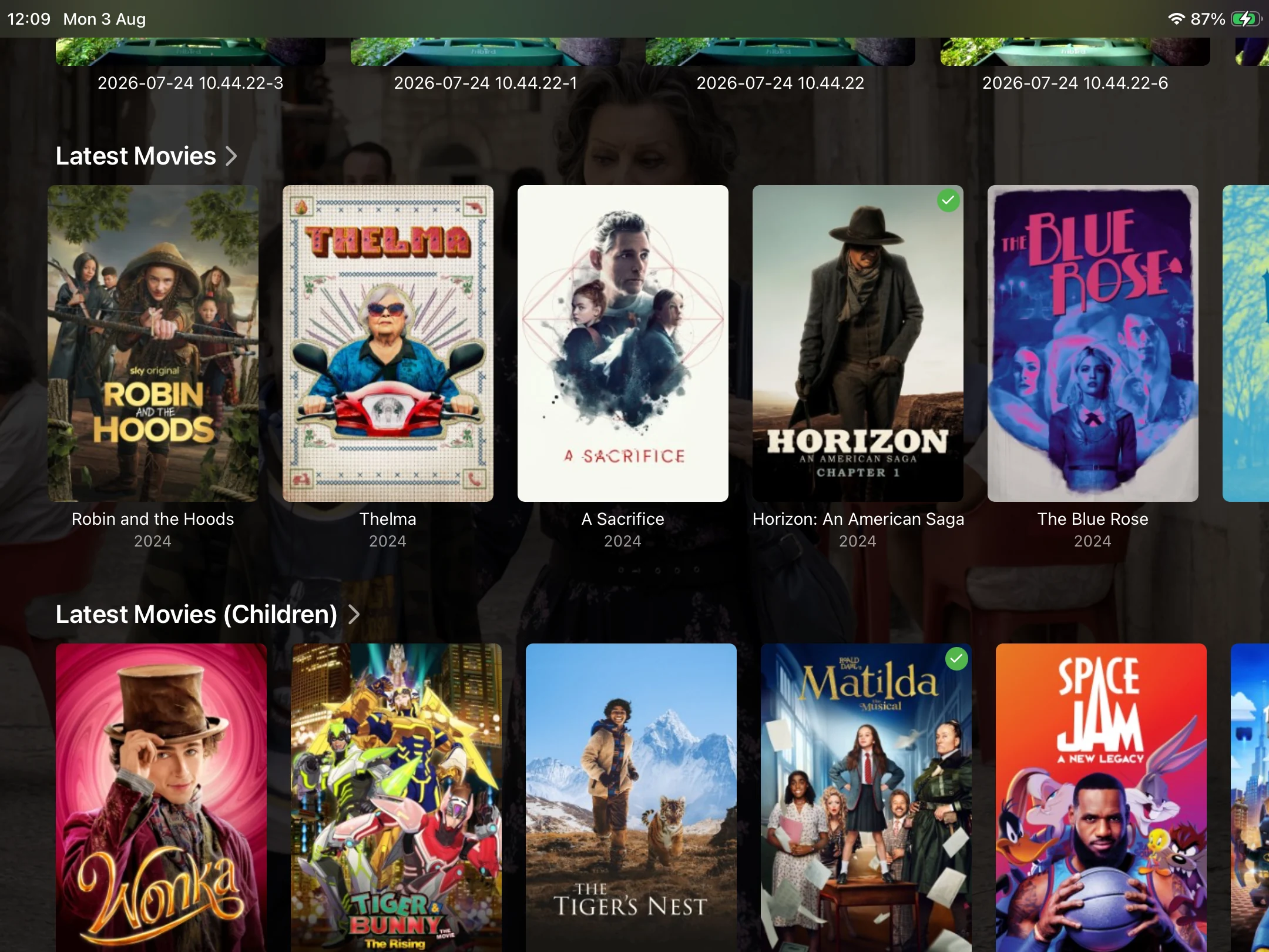 Browsing a movie library in Emby on iPad